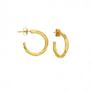 Σφυρήλατοι κρίκοι Excite Fashion Jewellery από επιχρυσωμένο ανοξείδωτο E-65-45-G